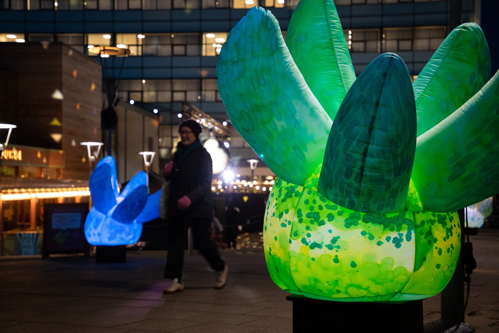 Hothouse Interactive Trail c. Jason Lock