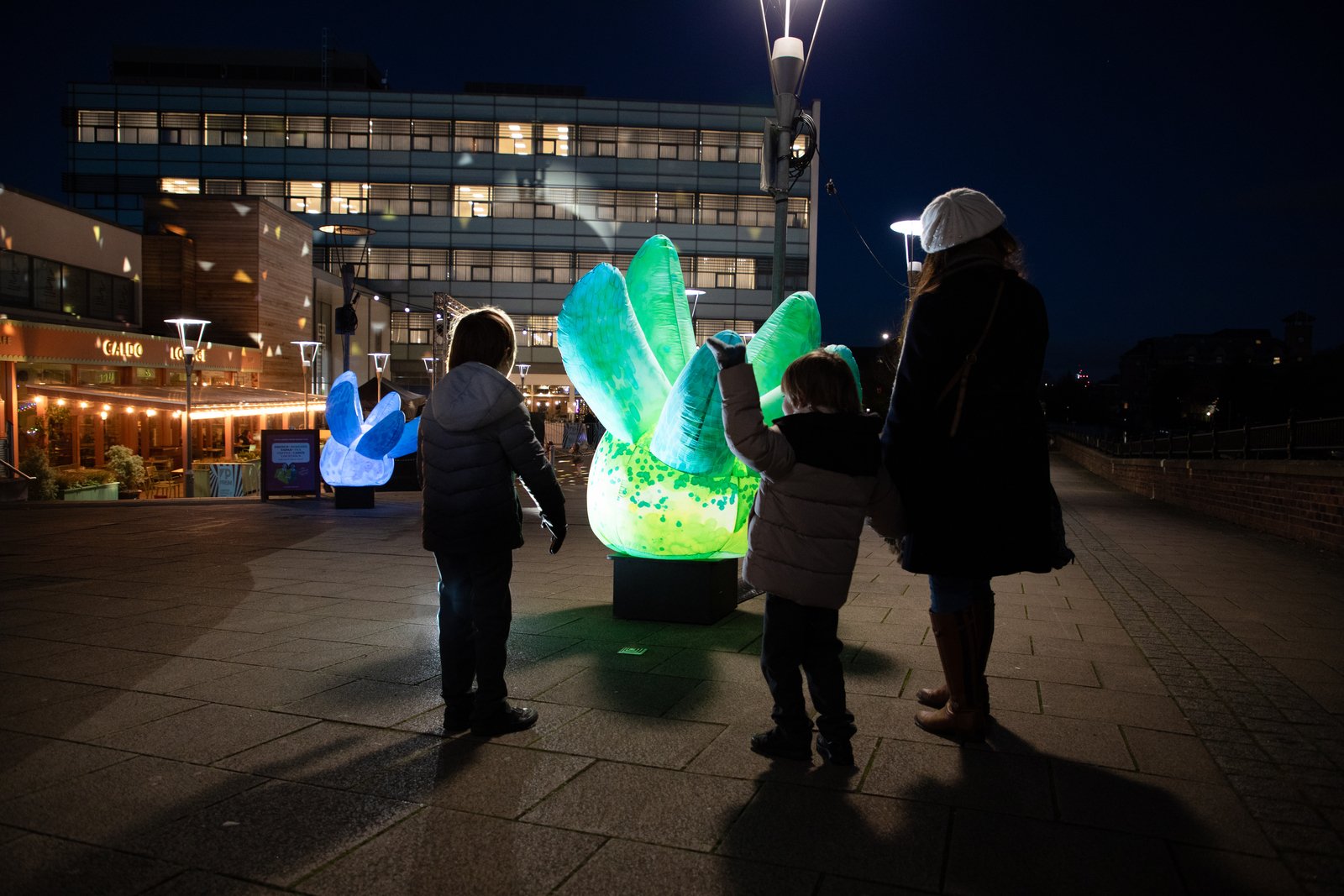 Hothouse Interactive Trail c. Jason Lock