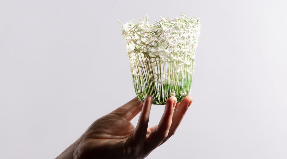 What Is Precious Website Image