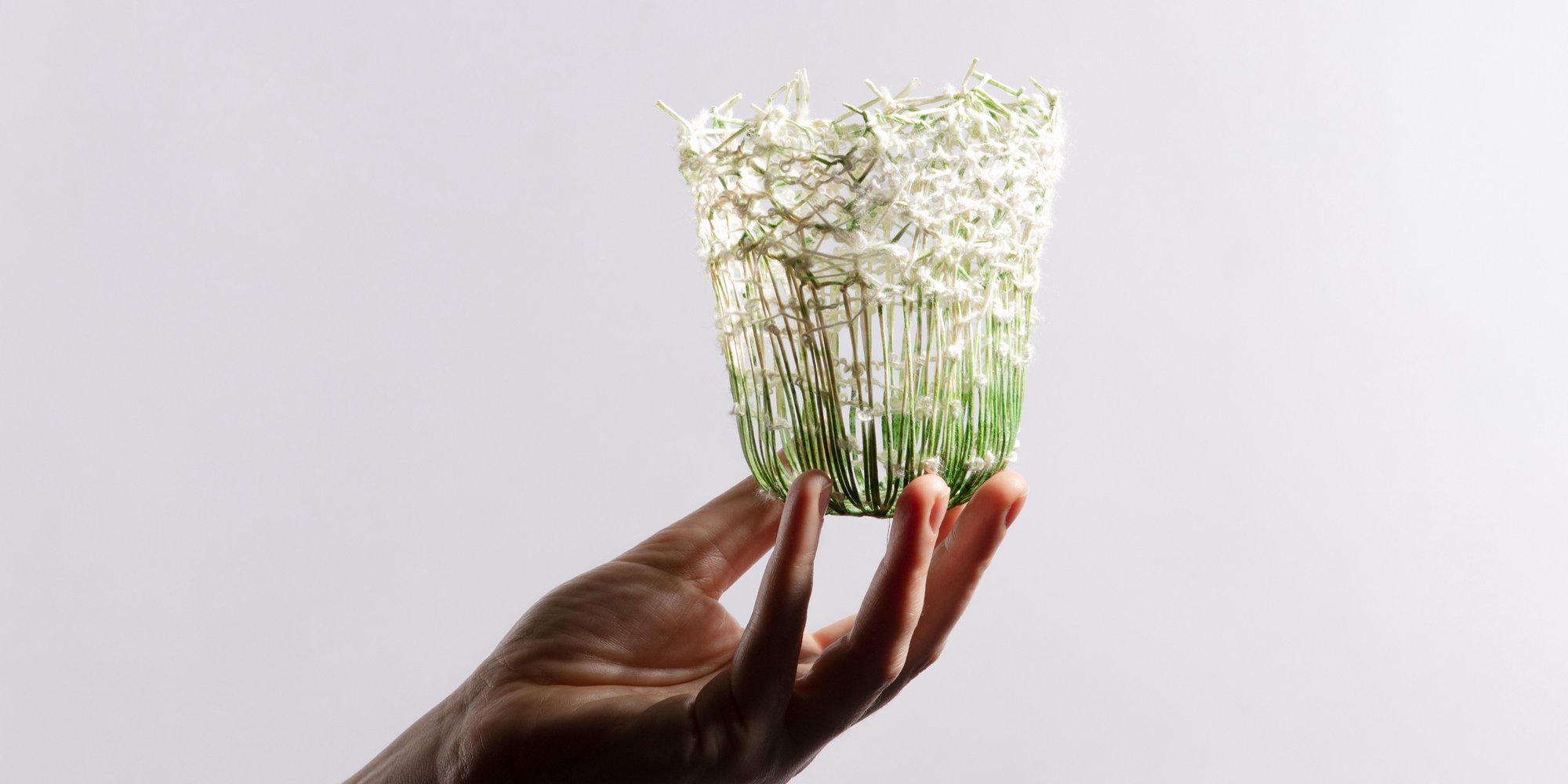 What Is Precious Website Image